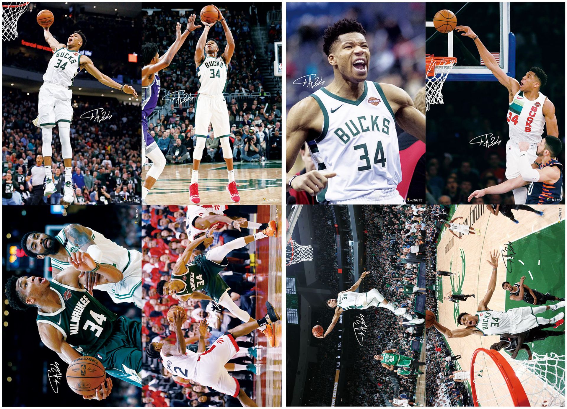 新款nba明星字母哥编号h0192高清签名写真压纹海报书店批发8张/套