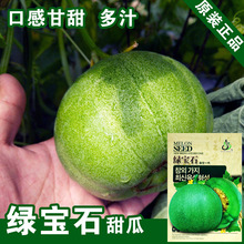 绿宝石甜瓜种子 绿皮绿肉超甜水果种子 春季种子蔬菜种子批发