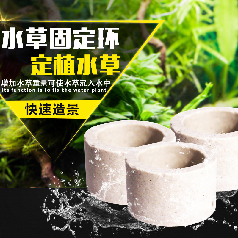 水草定植杯 大号生化陶瓷环种植水草杯新手养草水草固定底座