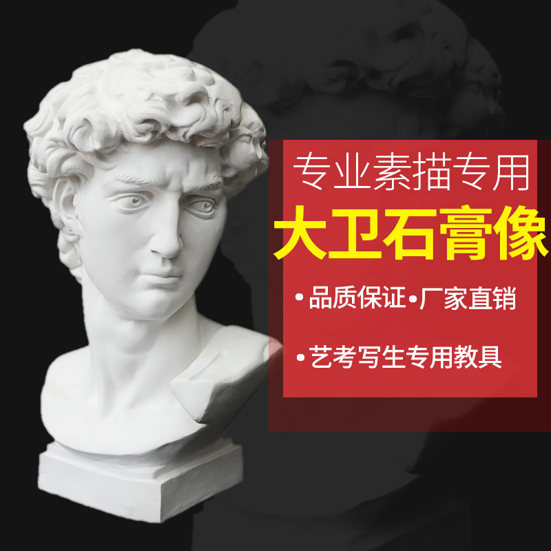 大卫石膏人物头像素描教具雕塑摆件模型美术教具静物写生美术用品