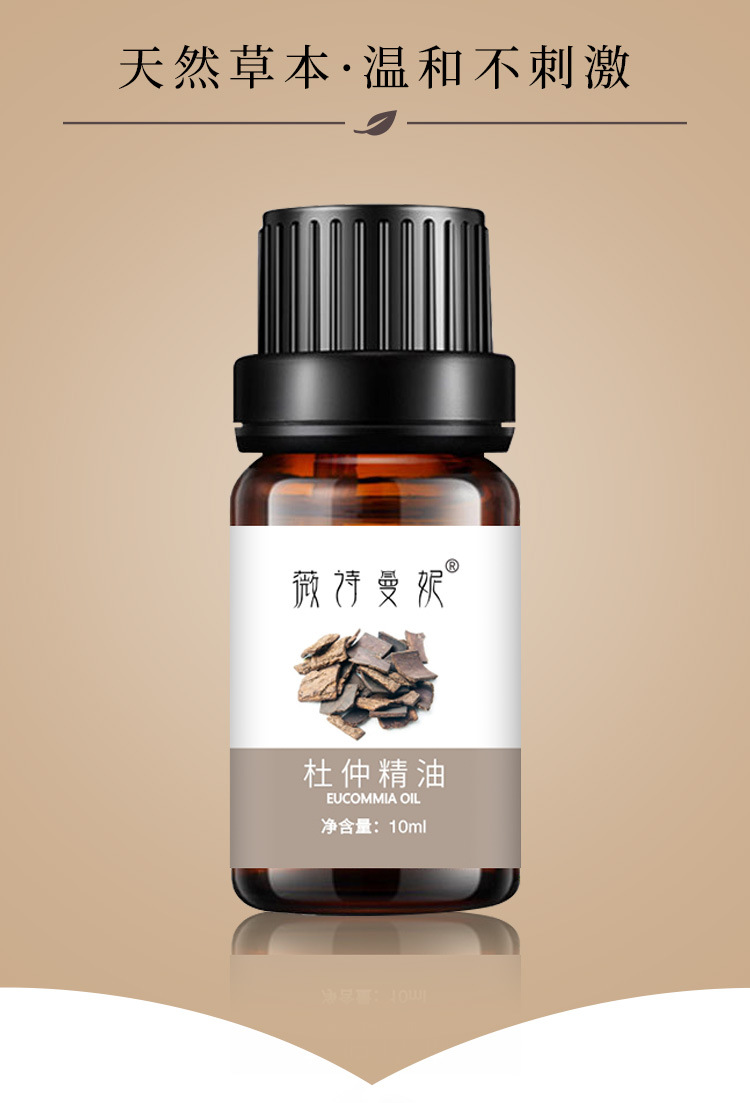 厂家张家界杜仲单方精油开背推拿活络美容院按摩刮痧精油批发贴牌