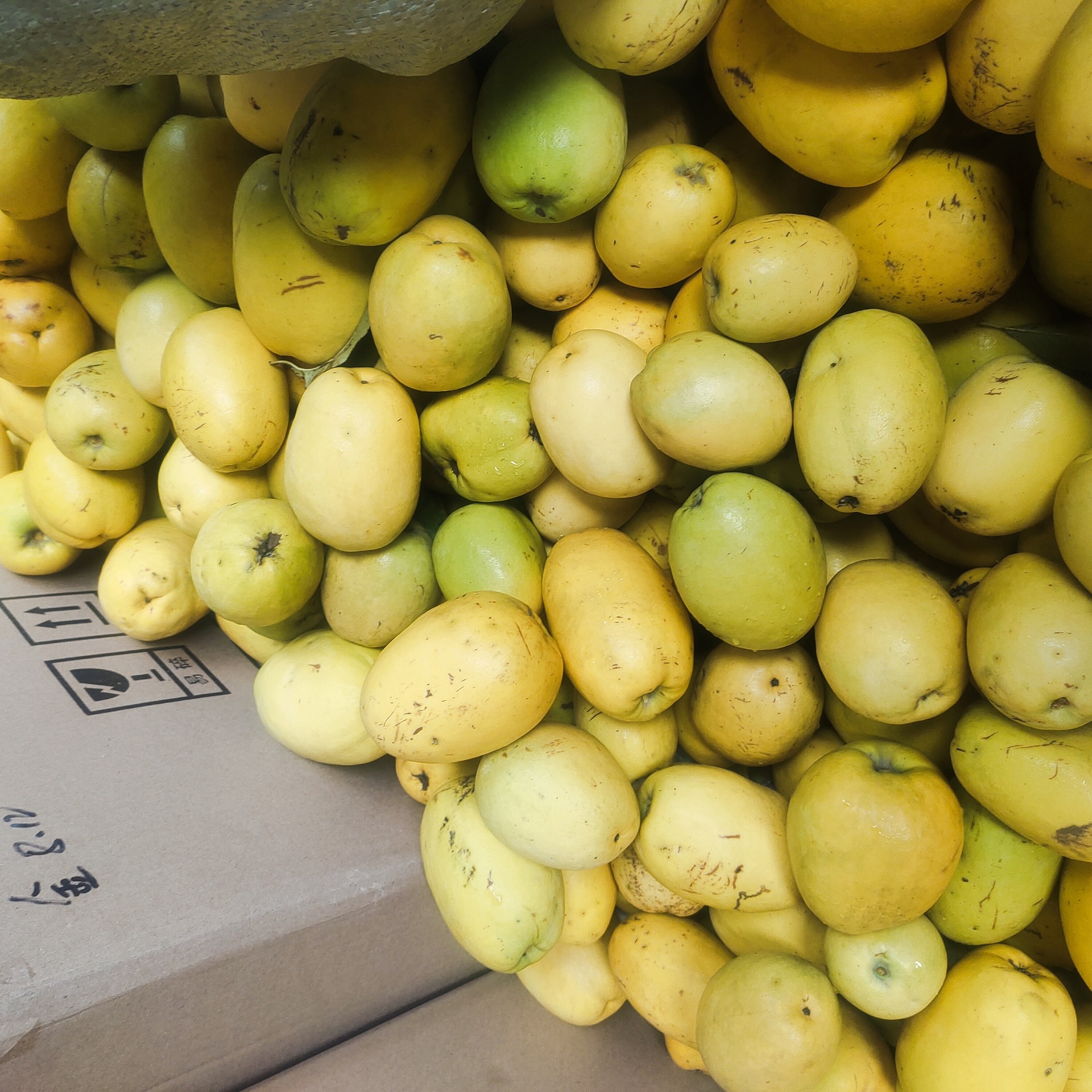 宣天香加香包北方邮汽车铁梨酸闻香青木瓜除味伏牛山室内木瓜河南