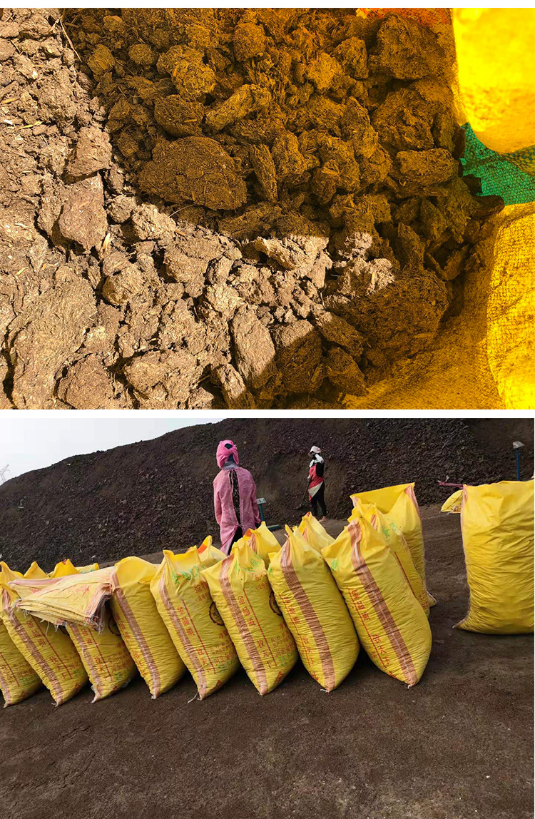 干牛粪大块 蘑菇杏鲍菇用牛粪肥料 菌类植物养护肥料 晒干牛粪