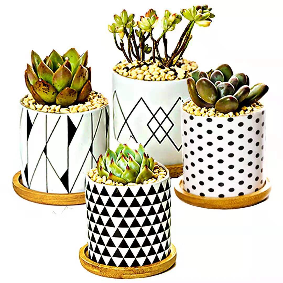 Suopin Foreign Trade Export Flower Pot Cross-Border E-Commerce Exclusive Nordic Flower Pot Cartoon Succulent Pot with Packaging Flower Pot