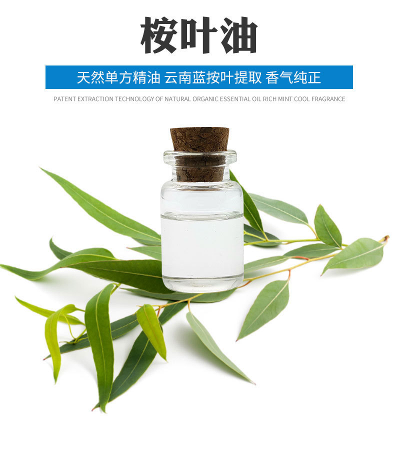 rhf香料 蓝桉油 植物提取尤加利辛凉气息驱蚊虫 现货桉叶油