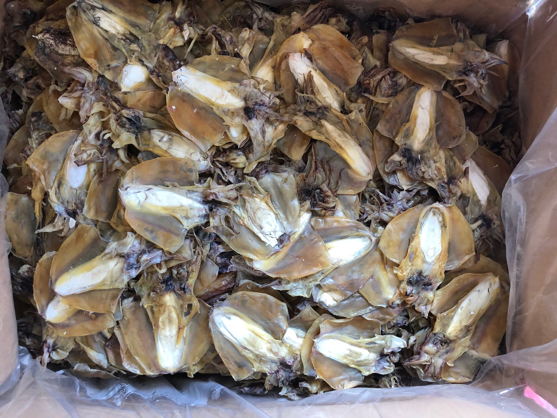 墨鱼(全淡干小墨鱼,规格38条左右,一件15公斤)