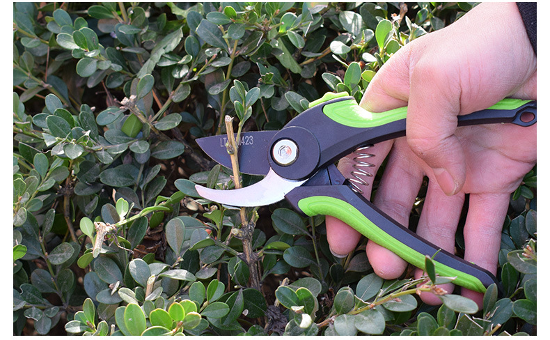 勒塔(leta)修枝剪果枝剪刀家用弹簧剪花剪刀园艺工具剪刀lt-ha423