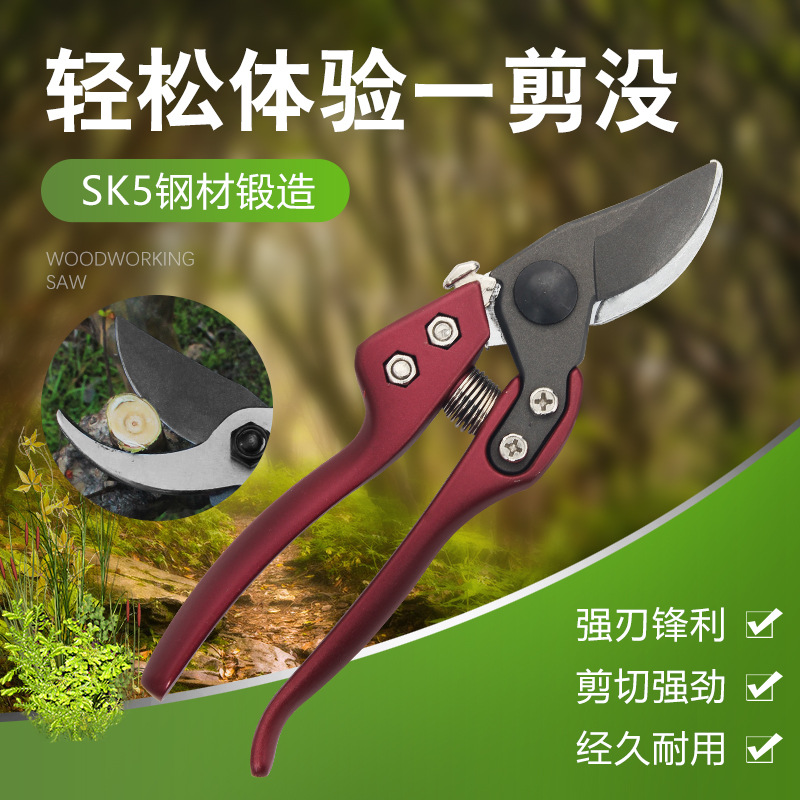 sk5果枝剪修枝剪强力剪修枝剪果树剪刀家用园树枝剪子修花剪刀