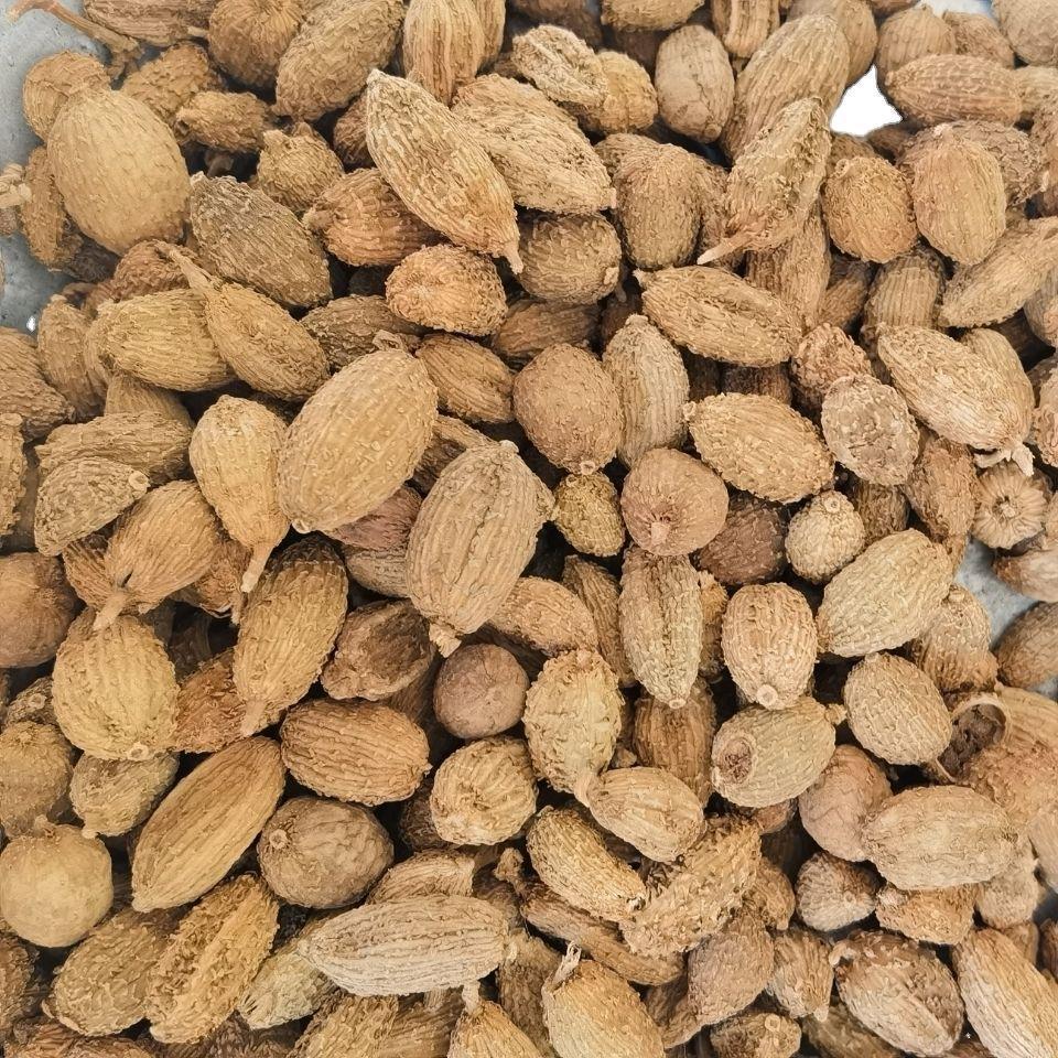 砂仁广东砂仁零售500克调料火锅底料调味香料阳春砂原产地直供