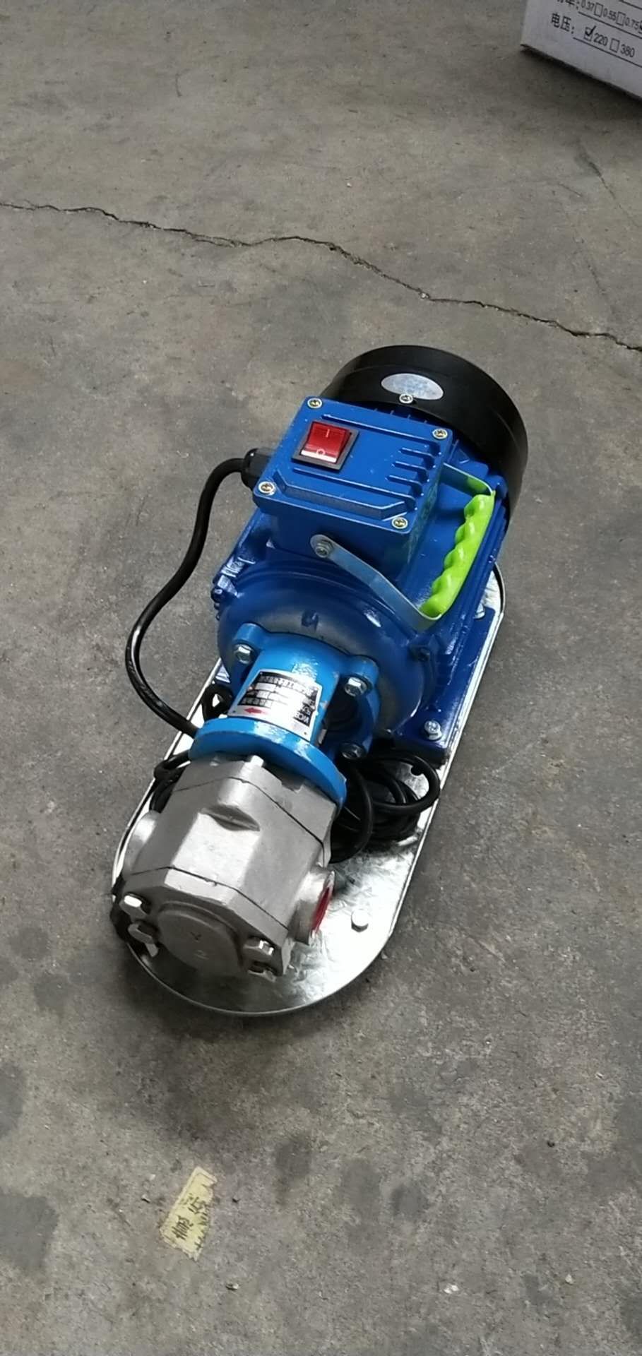 wcb-50手提式齿轮泵 wcb不锈钢微型输油泵 wcb-75自吸齿轮油泵