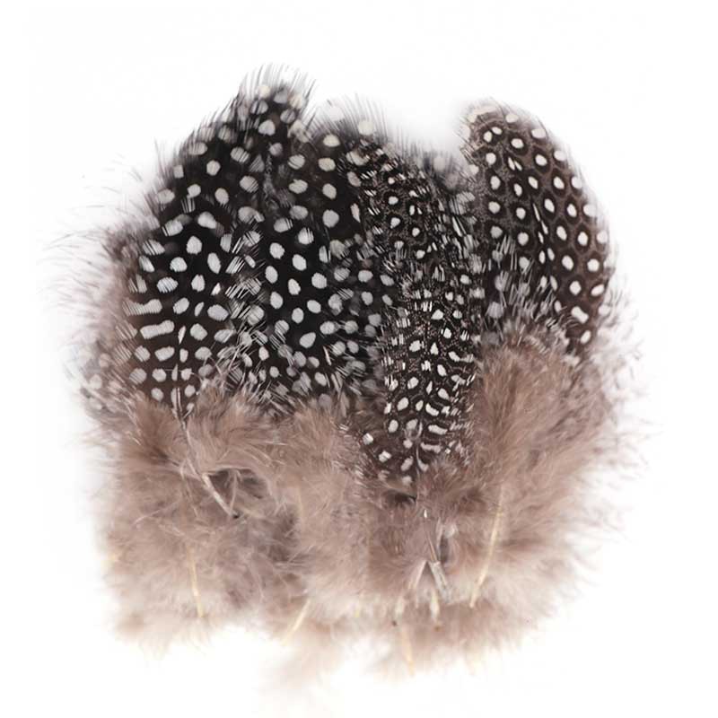 厂家批发优质珍珠鸡毛手工diy彩色野鸡毛饰品羽毛野禽毛黑白点点