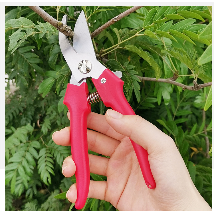 现货供应不锈钢果枝剪果树园艺剪树枝剪刀摘果剪鸟嘴园林修枝剪