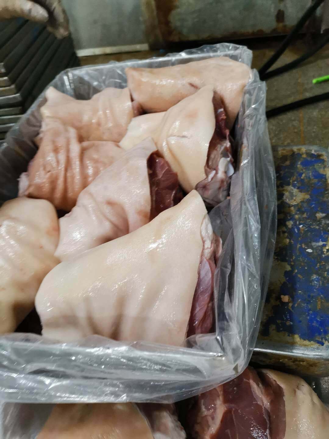 肘子冷冻猪蹄膀 彘肩冷冻猪前肘卤食用肘子现货批发冷链配送