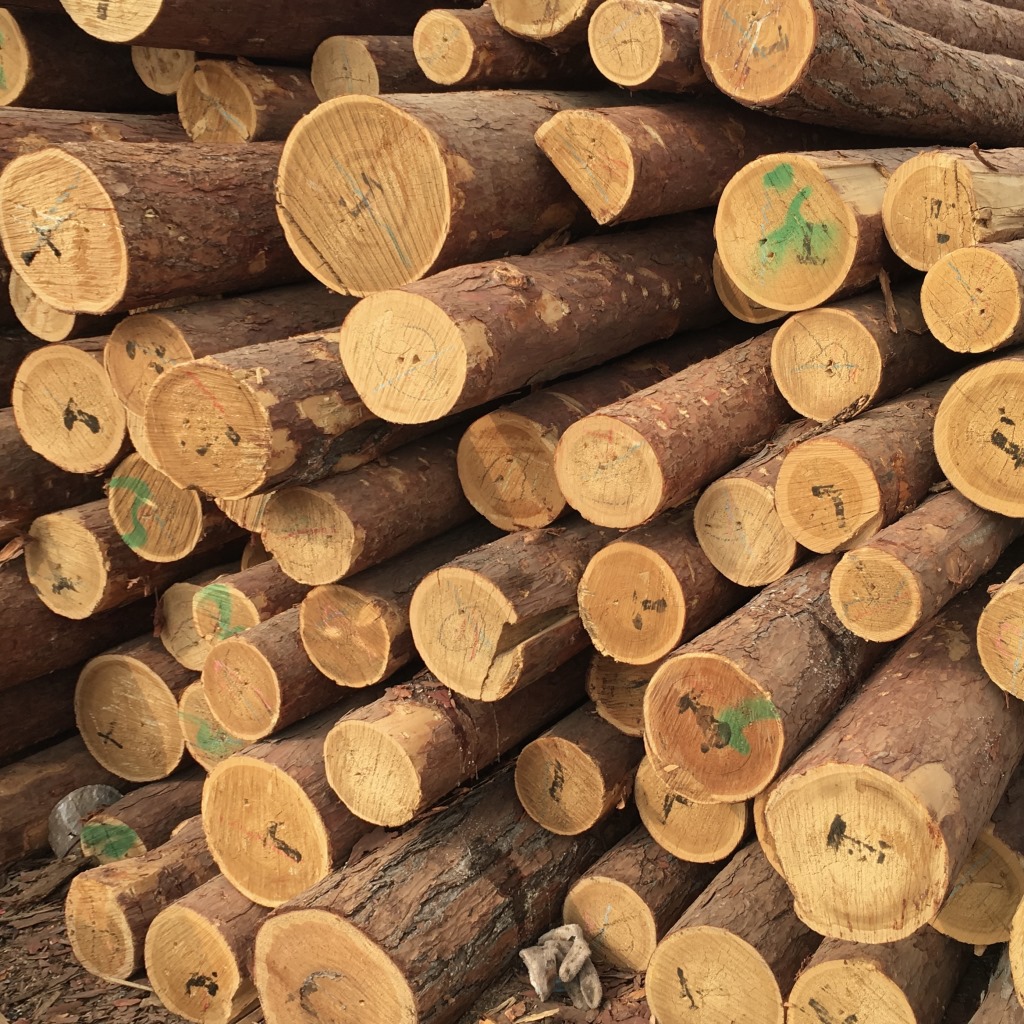 零售落叶松木材 落叶松木方-板材-口料 90*90mm