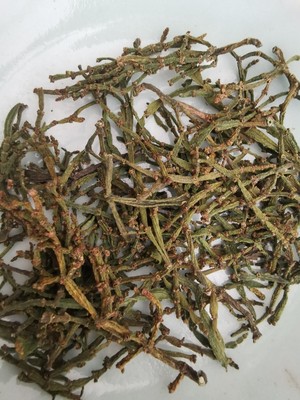 物以稀为贵 景迈古树螃蟹脚茶 古树寄生