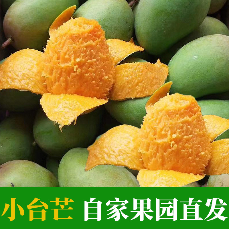 广西百色小台农芒果当季新鲜水果 地摊芒果批发非贵妃甜心芒青芒