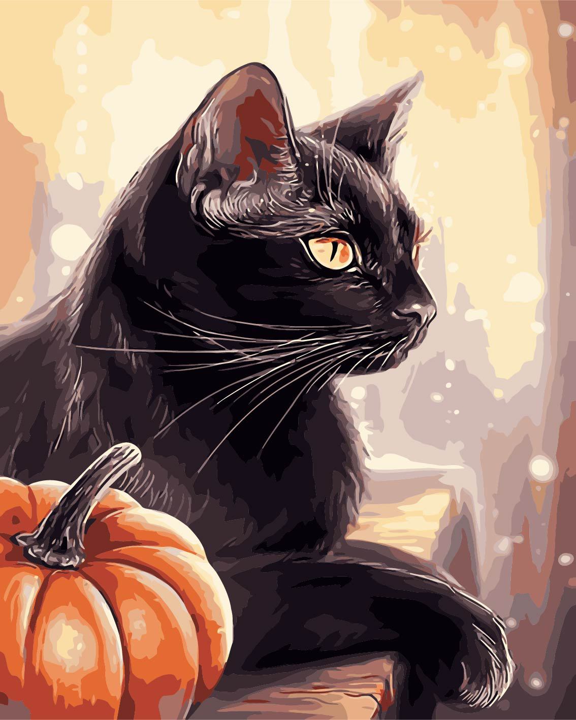 厂家直销diy数字油画 40*50无框填色手绘客厅卧室装饰画孟买黑猫