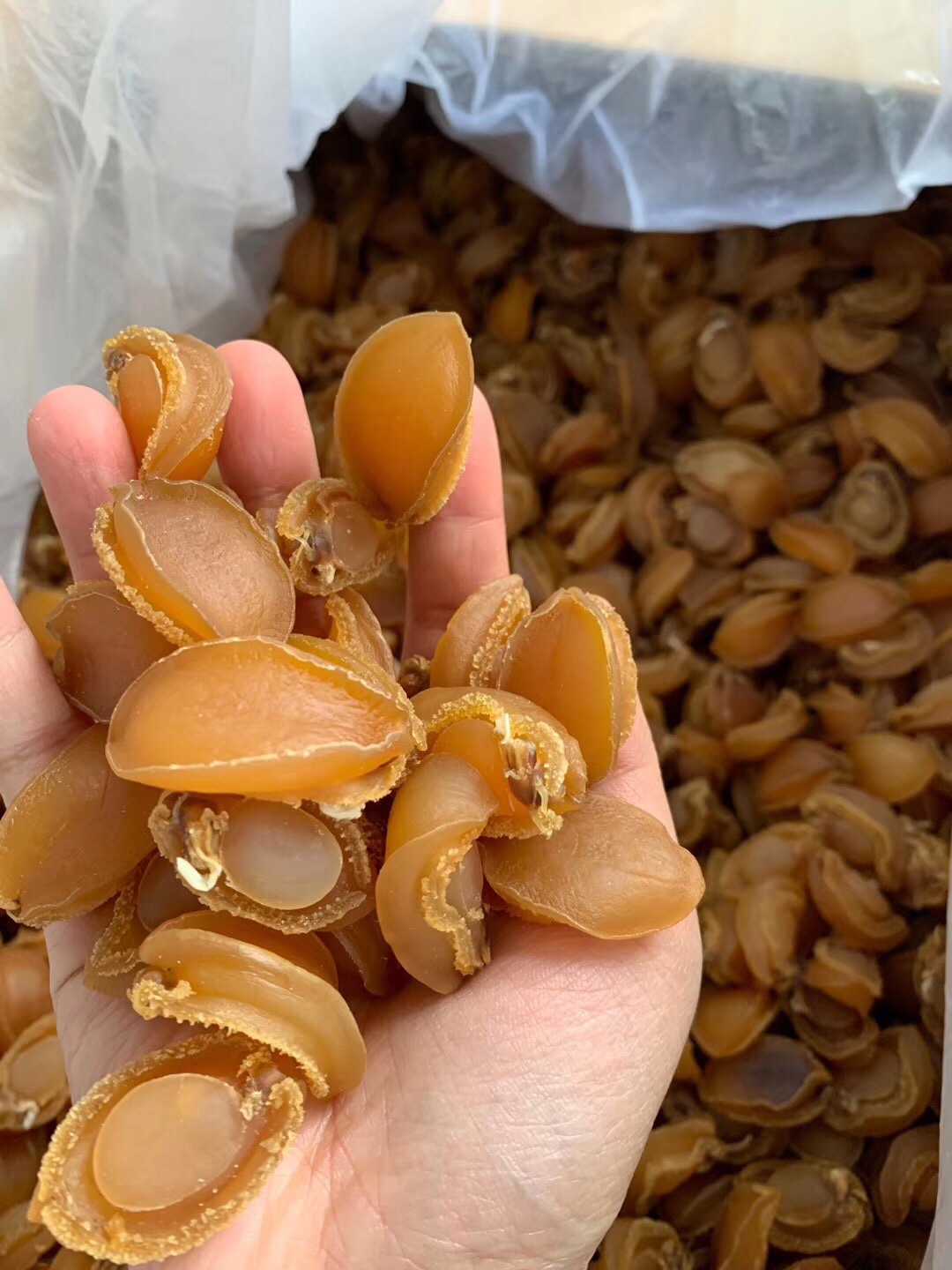 大连鲍鱼干鲍鱼鲍鱼仔30-500头淡晒海味干货批发海鲜特产煮汤滋补