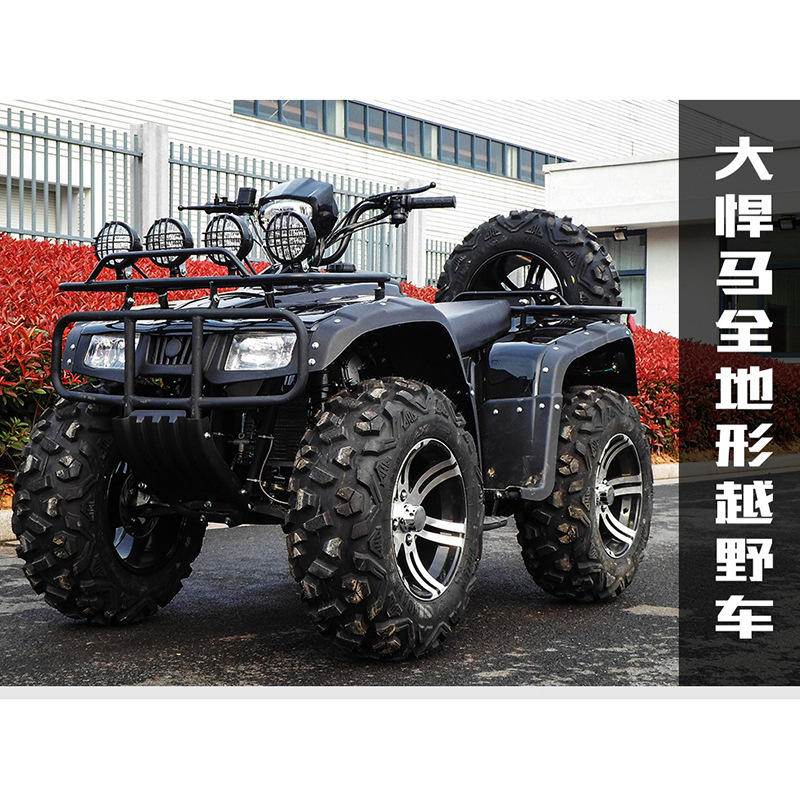 山东力奥牌的沙滩车 四冲程越野沙滩车 汽油款的沙滩车-报价-阿里巴巴