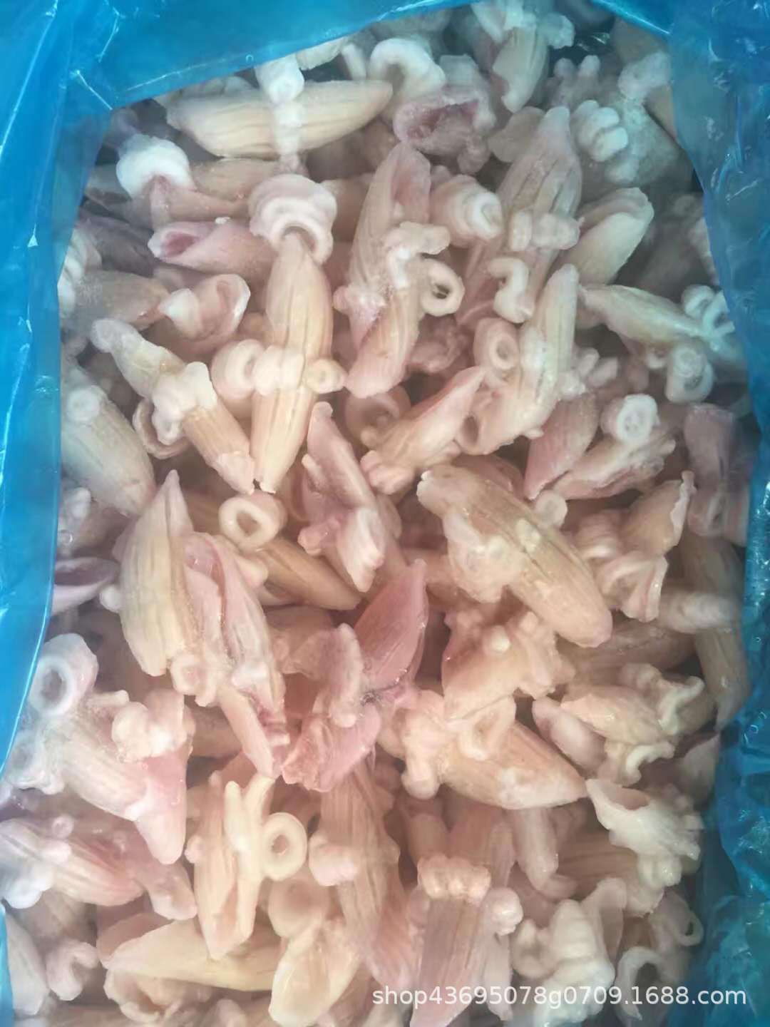 冷冻海鲜鱿鱼花 牛角花 墨鱼花10包去冰不满4.5斤 小吃食材