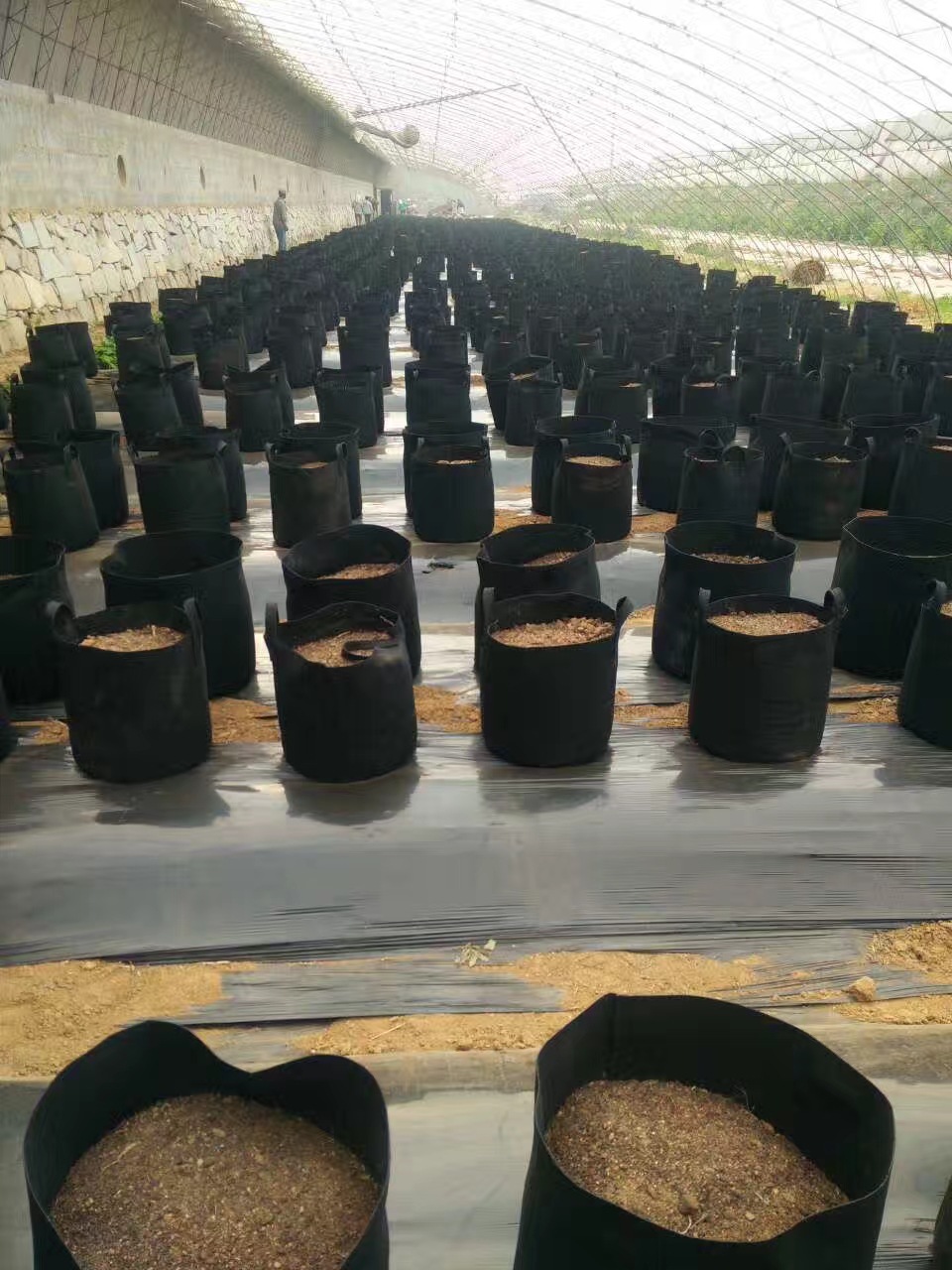 跨镜grow bag毛毡种植物袋黑色加厚无纺布美植袋植树育苗袋