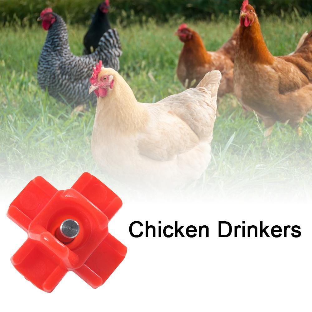 侧面家禽饮水器自动家禽乳头饮水器鸡鹌鹑饮水器畜牧业农业工具