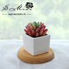 Artificial flower simulation Succulent plants bonsai Plastic Green plant originality Decoration Manufactor Direct selling Artificial Flower On behalf of Artificial flower simulation Succulent plants bonsai Plastic Green plant originality Decoration Manufactor Direct selling Artificial Flower On behalf of