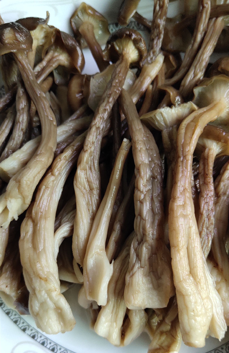 鹿茸菇鹿茸菌食用菌干货蘑菇 酒店食材农产品特产500g批发