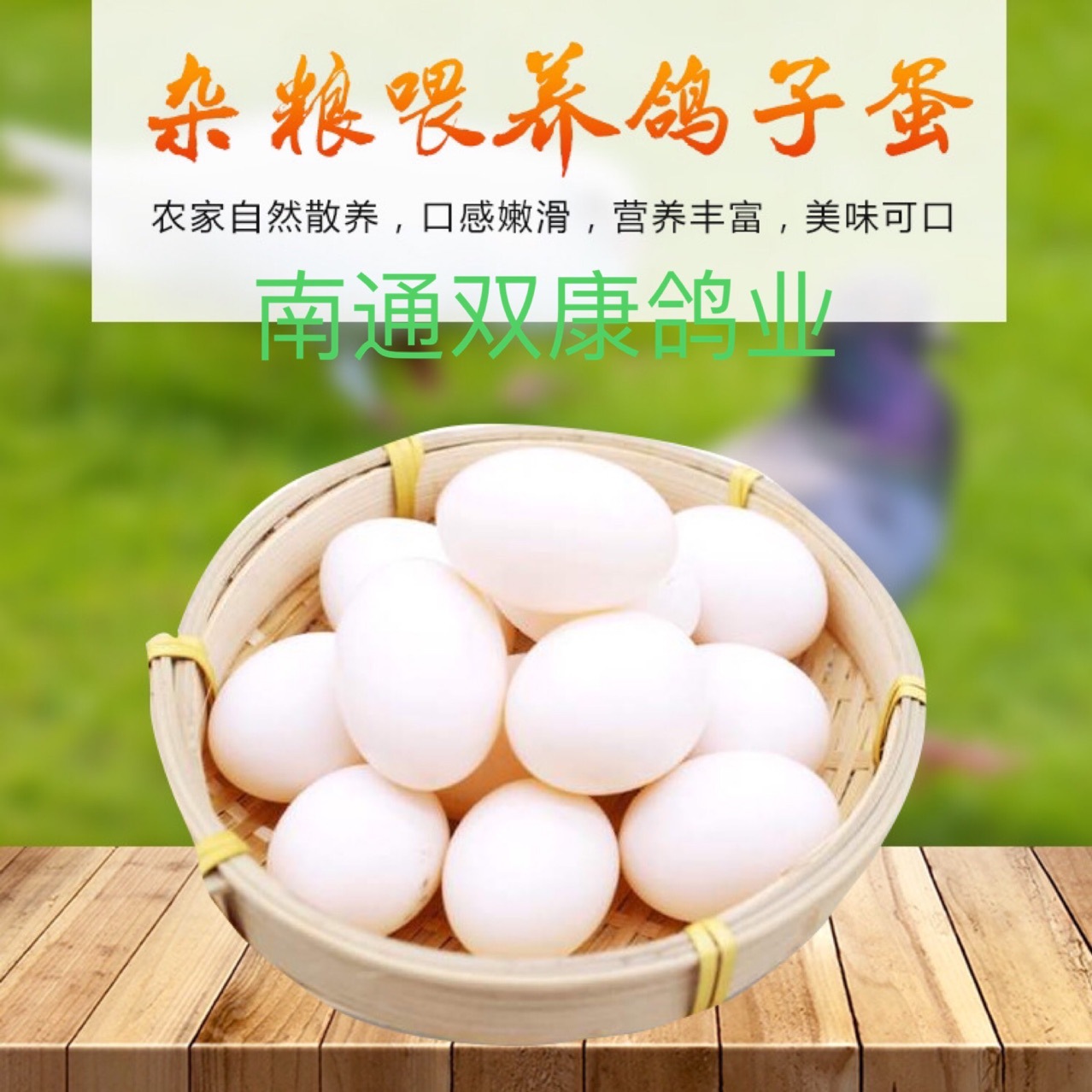 批发一件代发鸽子蛋食用厂价顺丰到家现捡现发农家散养草鸽蛋新鲜