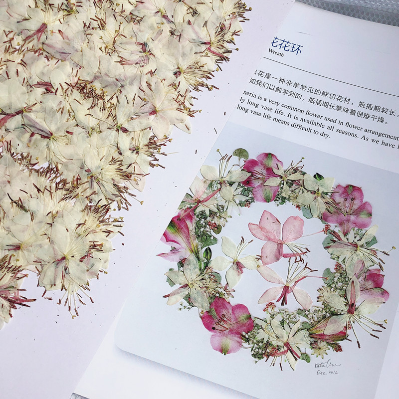 山桃草 蝴蝶花桃花干花压花标本diy相框美甲脸部贴花火漆印章材料