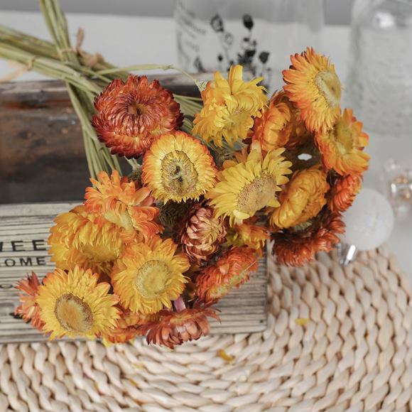 摆地摊货源 厂家直销带杆麦秆菊七彩菊宝石菊云南干花天然风干花