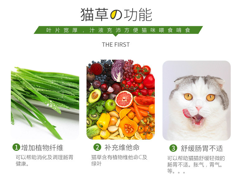 厂家直销天然猫草套装营养土猫草猫咪助消化清洁口腔简单易种植