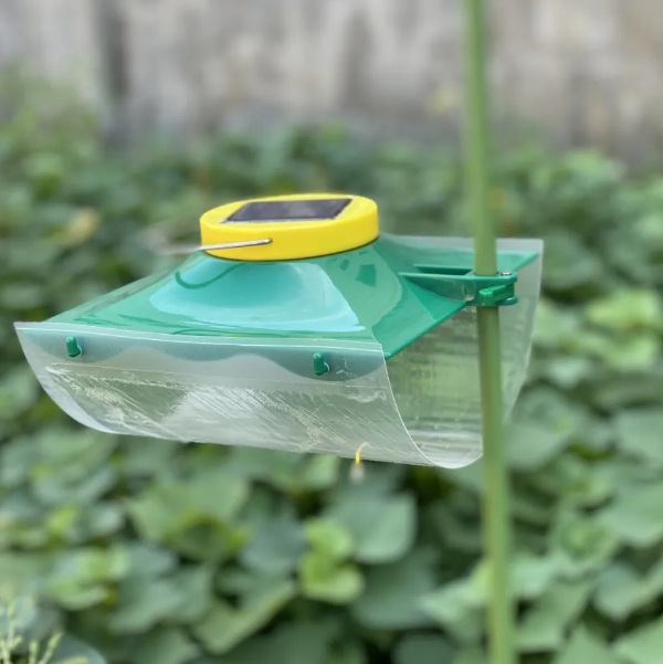 中捷四方plt-b信息素光源诱捕器结合光诱与性诱防治农具诱捕