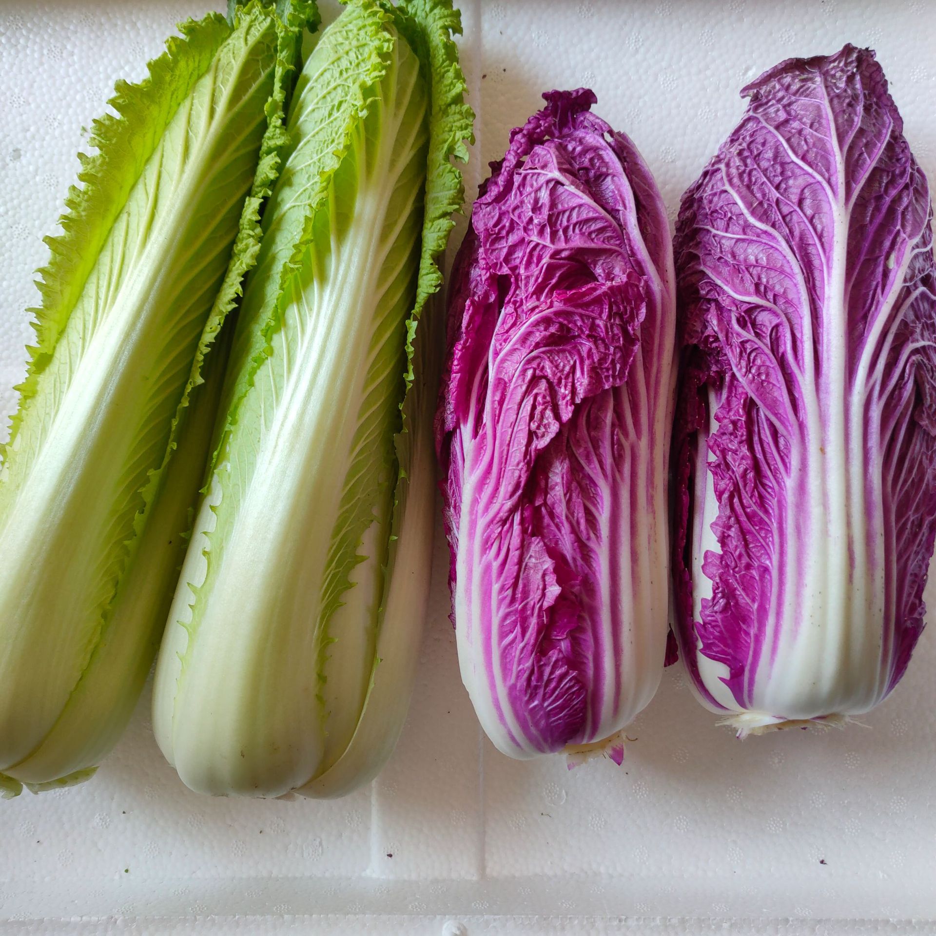 基地直发紫色大白菜龙芽白菜组合无筋无丝清甜可口5斤包邮