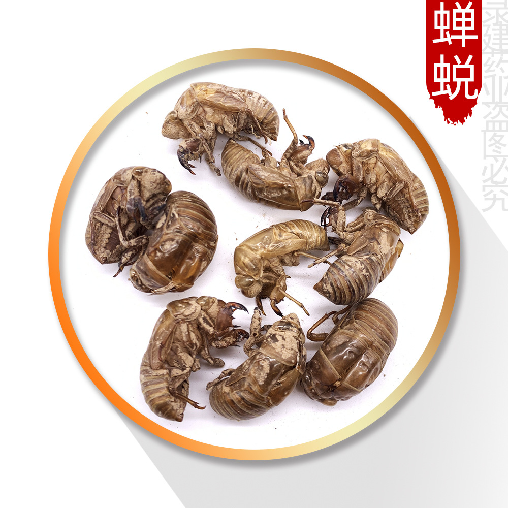 批发零售常用中药材 水洗蝉蜕 爬叉壳 金蝉壳 500g 产地山东 蝉蜕