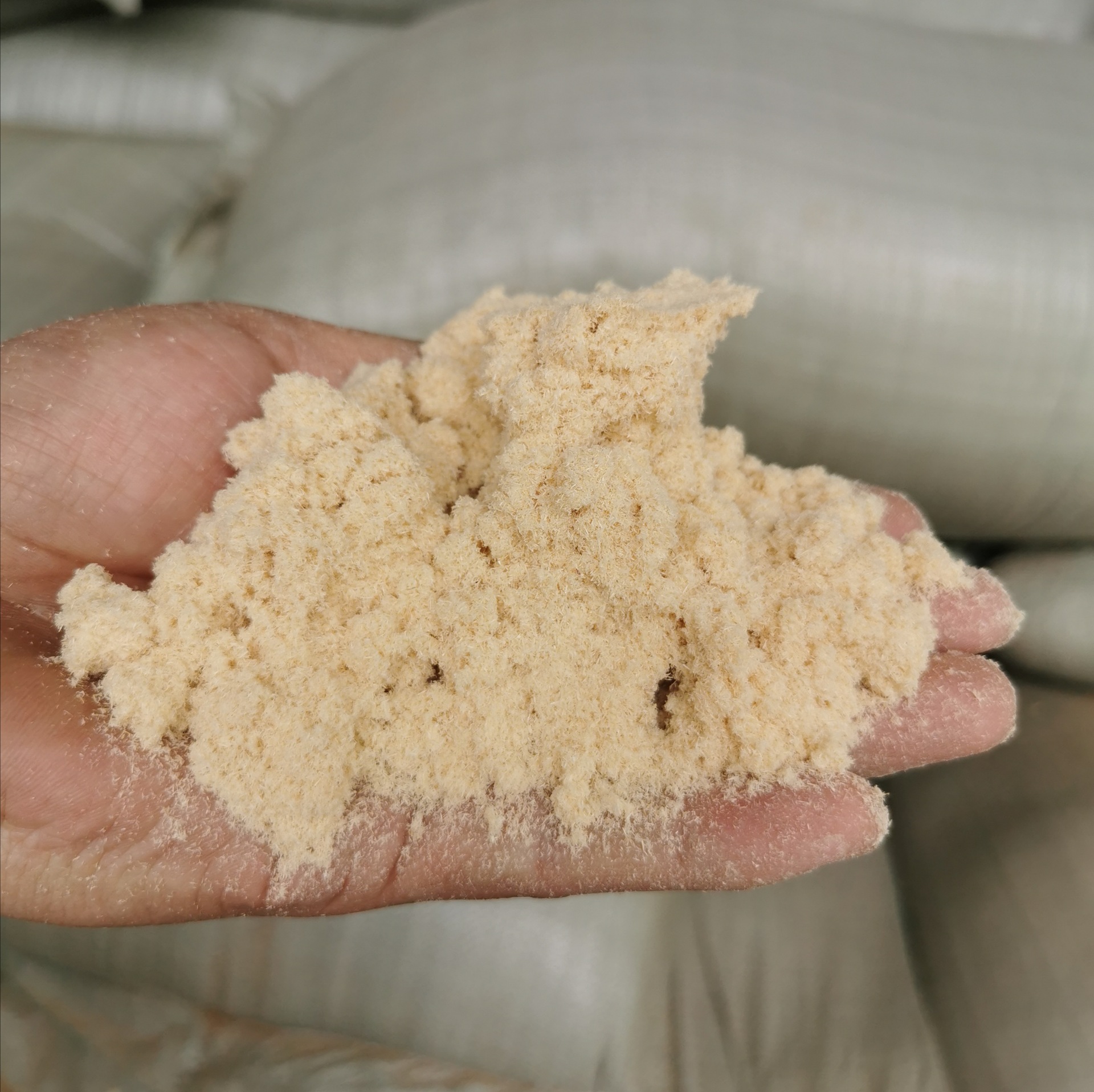 供应松树杨树杂木木粉制香造纸建筑家装用锯末木粉