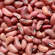 福万家长豇豆种子 蔬菜种子 四季 豆角 酒店 菜场种植专用品种