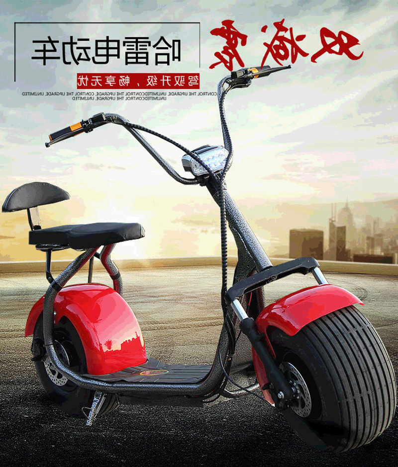 厂家直销哈雷电动车 双人座电动代步自行车 成人太子摩托踏板车