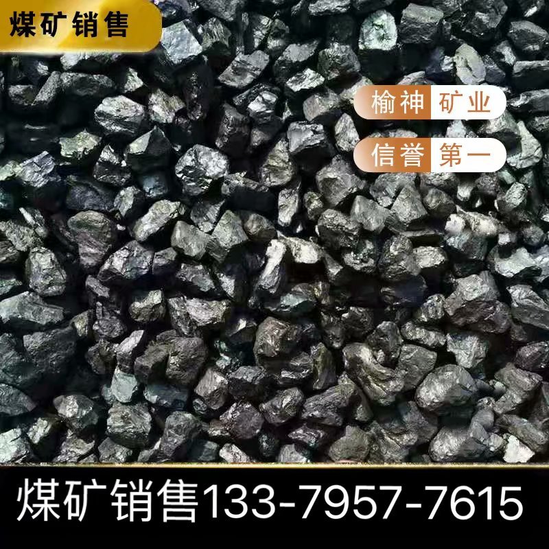 煤矿销售神木 52气化煤工业用煤 企业用煤气发生炉用煤