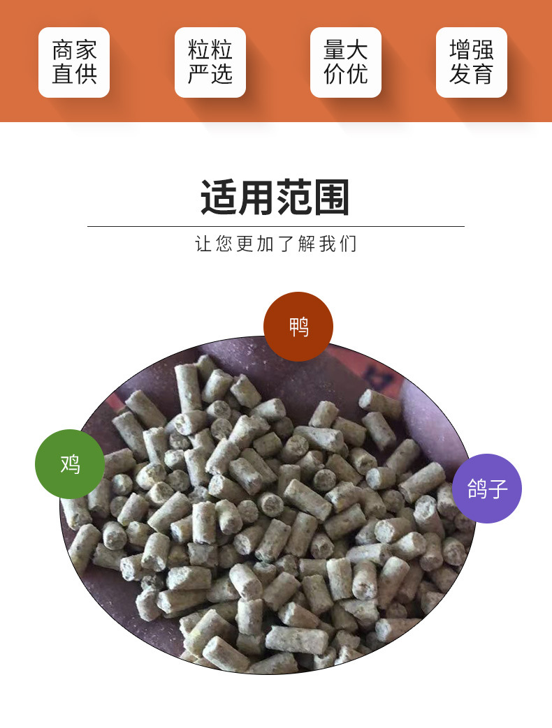 现货批发 供应五谷杂粮 鸽粮 华宝饲料红 饲料