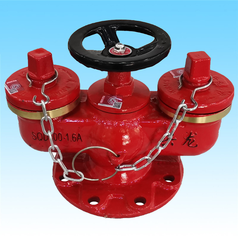 地下式多功能水泵接合器sqd100-1.6a安耐特消防器材厂家直销 兴龙