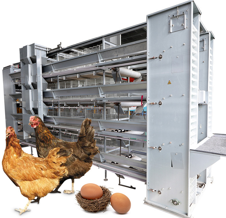 厂家批发四层层叠蛋鸡肉鸡育雏鸡笼 全自动化养殖设备 镀锌蛋鸡笼