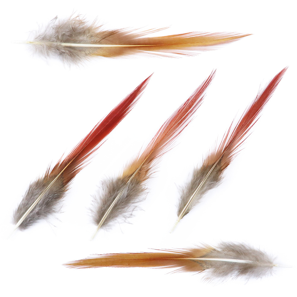 厂家直供公鸡羽毛野山鸡毛diy手工锦鸡红箭装饰配件辅料饰品批发