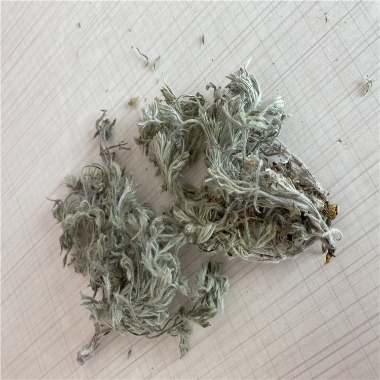 茵陈中药材草药绵茵陈茵陈茶棉茵陈500g棉陈整棵茵陈