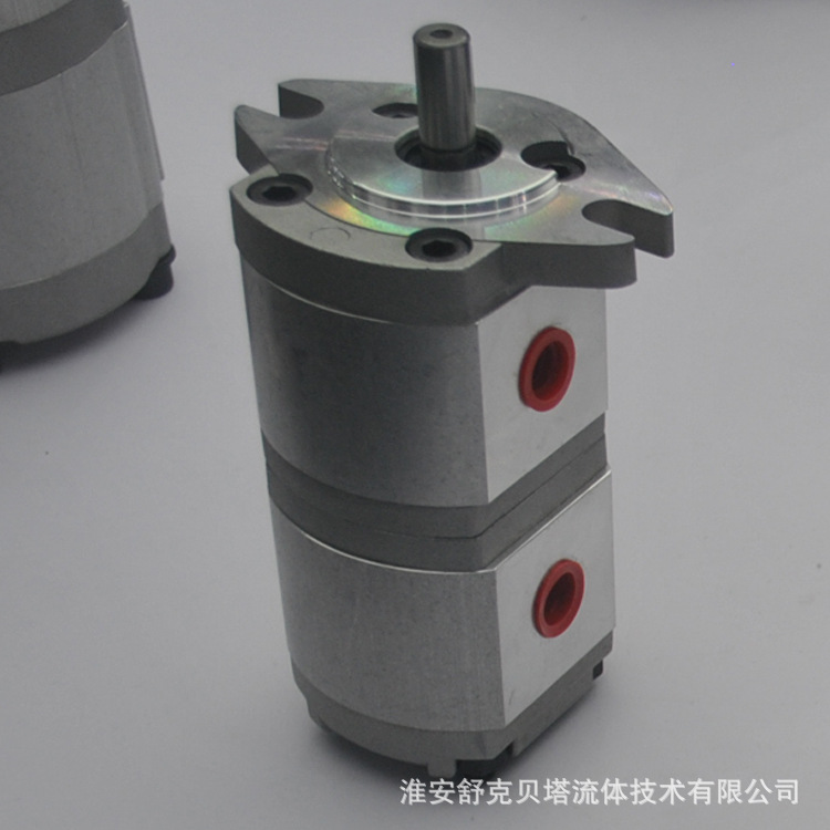 双联齿轮泵cbn
