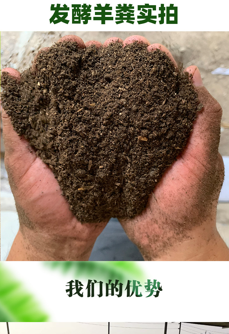 河北茂丰肥业批发羊粪有机肥 发酵羊粪肥土壤改良肥绿化有机肥