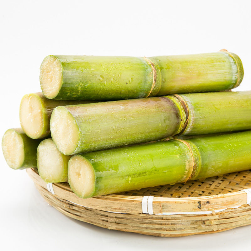 产地直供甘蔗新鲜水果孕妇现摘农家应季时令特产青皮绿皮非黑皮广