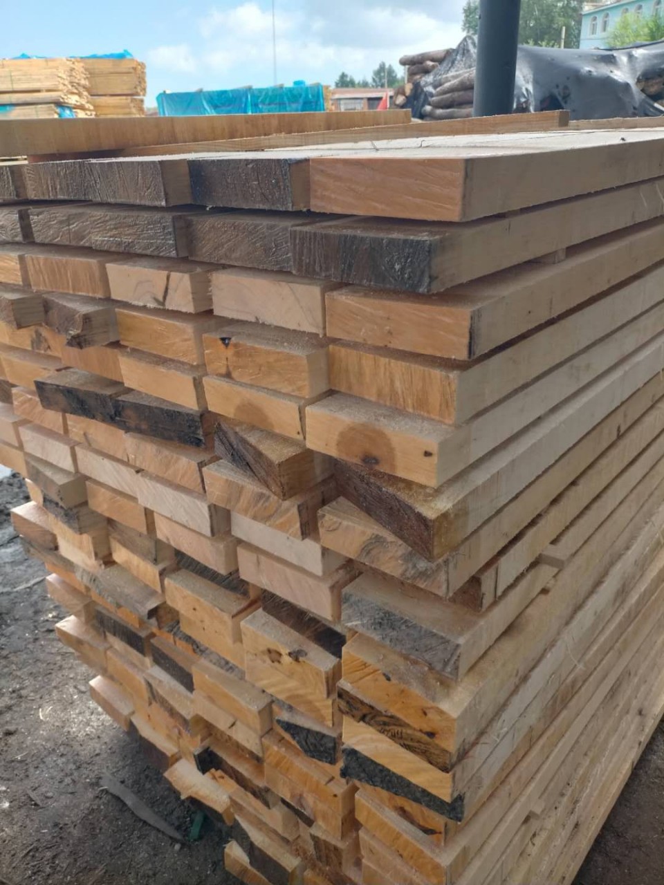 东北枫木风干板色木板