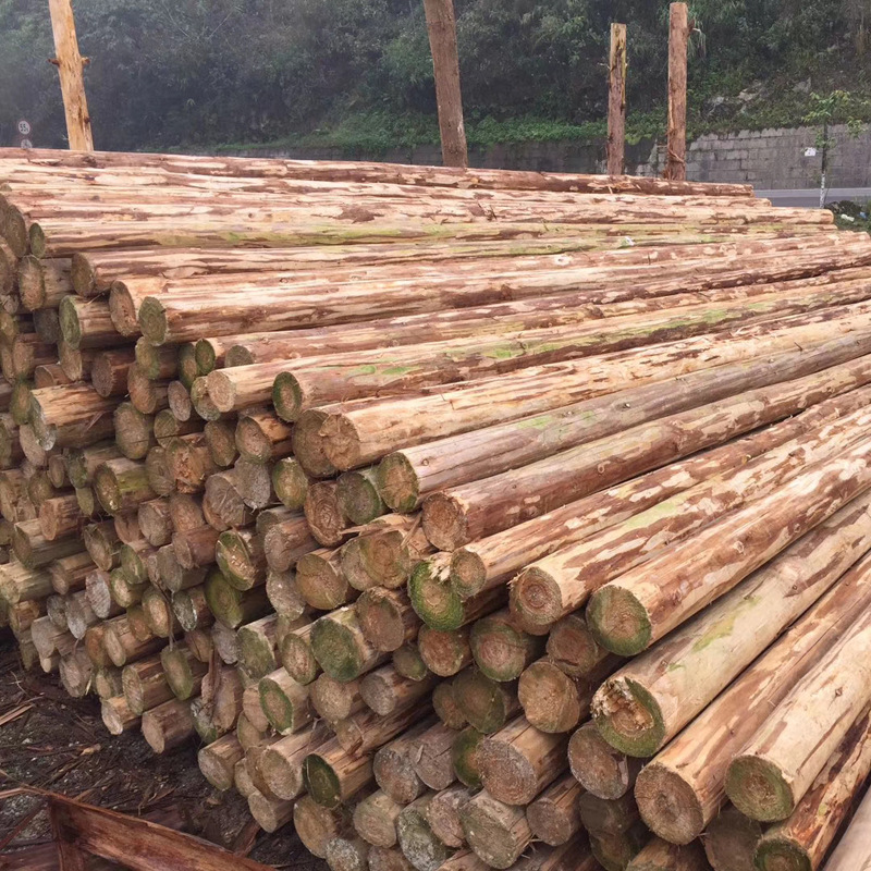 青岛长期批发4米杉木绿化杆多种规格尺寸树木支撑河道杉木桩