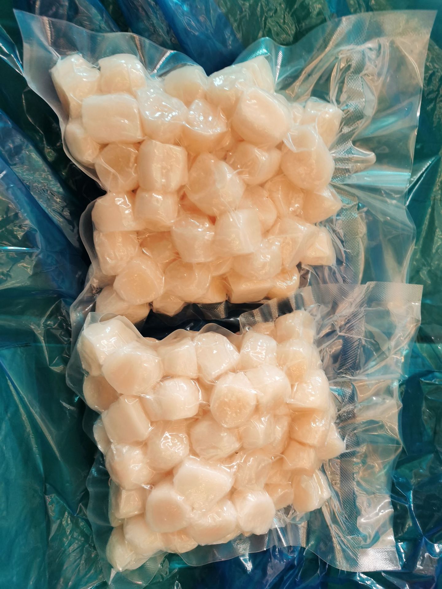 批发冷冻扇贝柱原汁扇贝丁扇贝柱社区团购